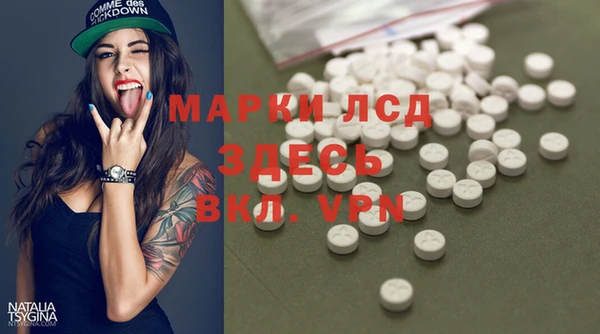 ГАЛЛЮЦИНОГЕННЫЕ ГРИБЫ Абаза