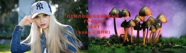 ПСИЛОЦИБИНОВЫЕ ГРИБЫ Абинск