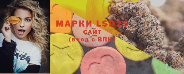 ГАЛЛЮЦИНОГЕННЫЕ ГРИБЫ Абаза