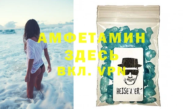 сатива Ельня